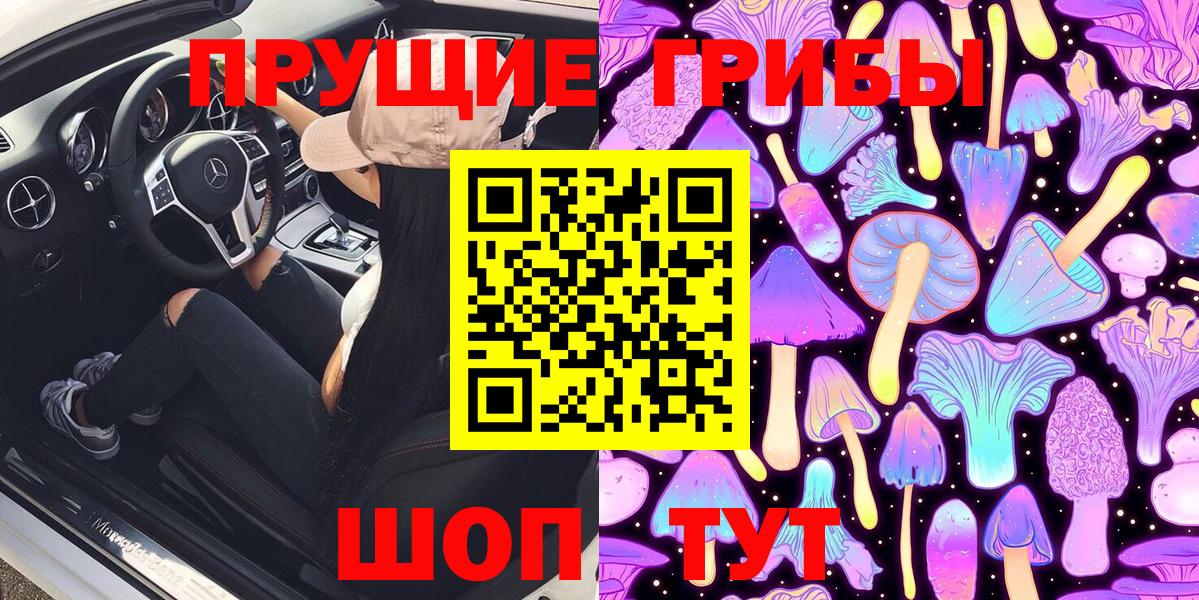 Заволжье  Псилоцибиновые грибы мухоморы  Вход с VPN 